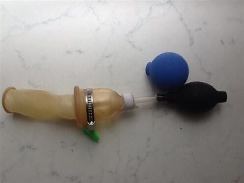 zakila handitzeko etxekoak